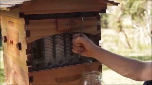 Как работает улей с автоматическим сливом меда.