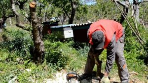 Бензопила STIHL MS 182 в работе на даче