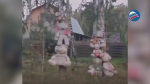 Водитель мусоровоза создал уникальный декор на федеральной трассе из выброшенных игрушек