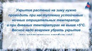 Конусы и чехлы для растений. ПОЗАБОТЬСЯ о своих растен