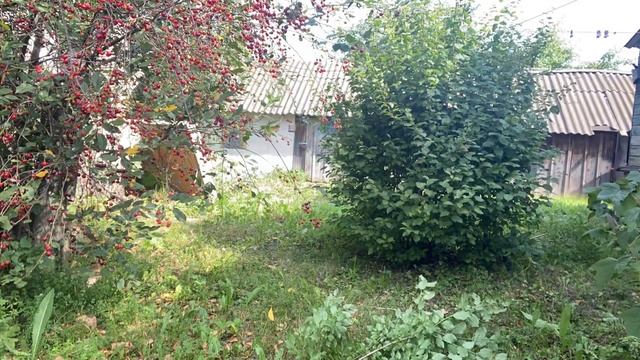 Мини дачные дела🌱 смотреть онлайн