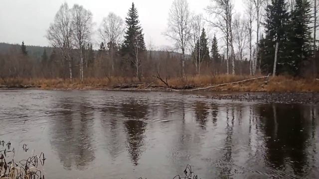 Кривая Пихта 6 Октября Это ЭПИЗОД из Фильма Ссылка На ф смотреть онлайн