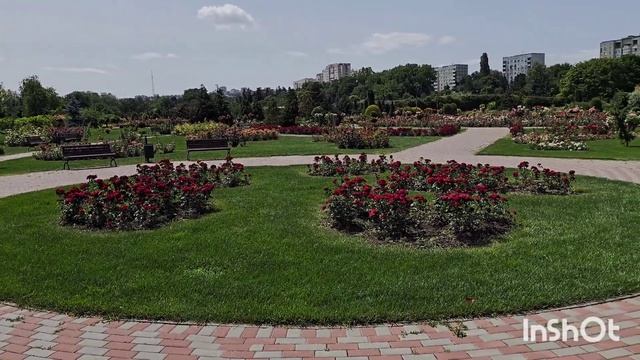 Кишинёв, море роз, парк Дендрарий. 13.06.25 смотреть онлайн