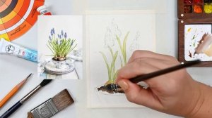 Рисуем акварелью за 17 минут - цветы мускари. Быстрые за
