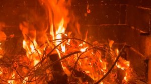 Вопросительный сеанс у очага: когда огонь отвечает. Сказки из серии  "Лесная клиника". Сцена 6