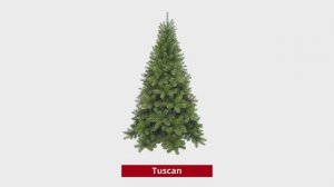 Ель Triumph Tree Tuscan (Hook on) - Санкт-петербург зеленая