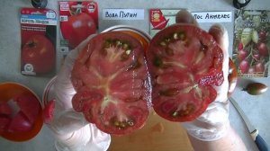 Дегустация помидоров № 3. Томаты от Сибсада, Аэлиты и к