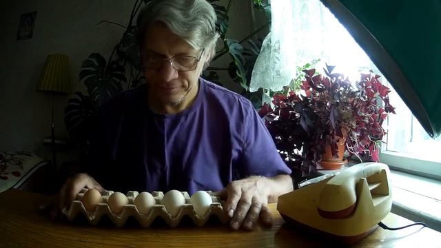 Яйцо странно виды разных цвет . . . . . смотреть онлайн