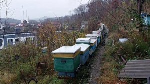 Повторная обработка бипином.