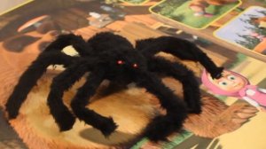 ОГРОМНЫЙ ПАУК НАПАЛ НА МАШУ. МАША И МЕДВЕДЬ.