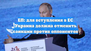 ЕП: для вступления в ЕС Украина должна отменить санкции против оппонентов