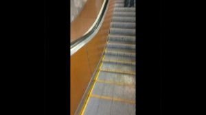 1000004978.mp4 Ну чё получилось - то и получилось