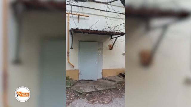 Ветер дует – щепки летят: в Волгограде начался деревь? смотреть онлайн