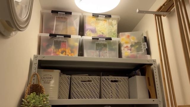 🌸WILDBERRIES и OZON ДЛЯ ДОМА🪴 / 📦ОРГАНИЗАЦИЯ ХРАНЕНИЯ В КЛА смотреть онлайн