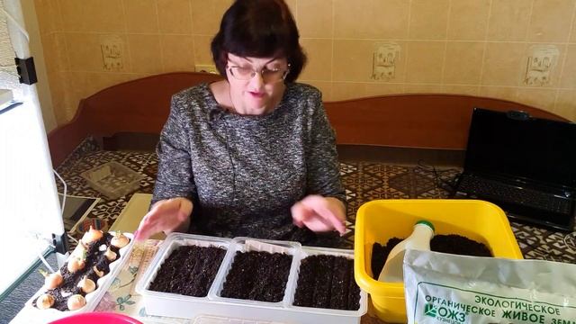 ПОСАДКА ЗЕЛЕНИ ЗИМОЙ. смотреть онлайн