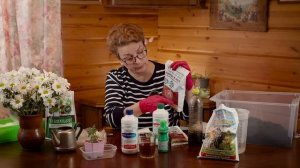 Начинаем посевы по технологии АС-35