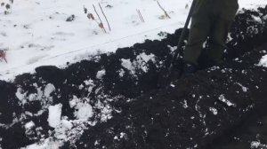 Осенняя посадка черенков винограда в школку. Виногад ?