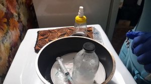 Посев #семян 🌱 #орхидеи #фаленопсиса 🌺 во #фласку