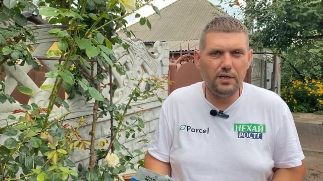 Несправжня борошниста роса (пероноспороз) на трояндах смотреть онлайн