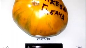 Томат Оранжевая Габбана ORANGE GHABBANA