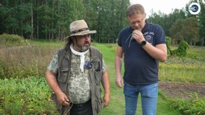 Пленка для мульчирования | Применение мульчирующей пл