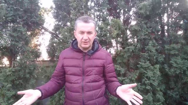 Делаем первые шаги в виноградарстве: расположение ряд смотреть онлайн