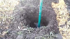 Бур садовый (2 насадки)