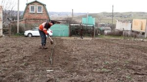 посадка косточек миндаля