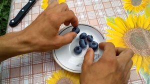 Голубика. Описание сорта голубики .Крупноплодная голу