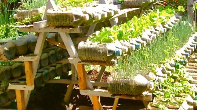 Дачные хитрости и премудрости ! 1 смотреть онлайн