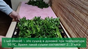 3 способа как сушить петрушку / Чтобы она сохранила пол