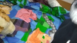 2 серия  картину кэт  ищит  картину дога