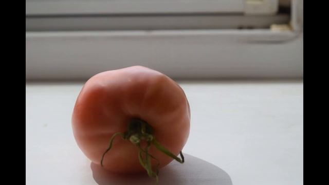 Самый лучший томат в мире 2023г.!Высокоурожайный и сладк смотреть онлайн