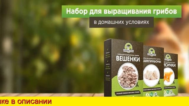 Домашняя Грибница Опята В Коробке смотреть онлайн