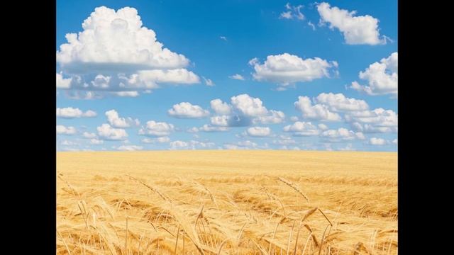 Видовой состав биоценоза смотреть онлайн