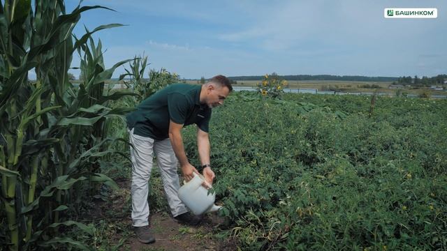 Паста Фитоспорин и Фитоспорин-АС жидкий. Что выбрать? ? смотреть онлайн