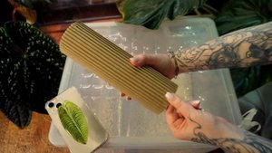 Как упаковать и утеплить растения для пересылки: поша?