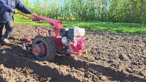 Окучники с мотоблоком МТЗ Беларус.