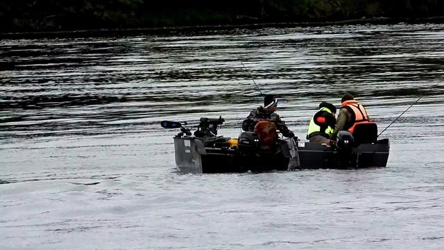 интересные рыбаки