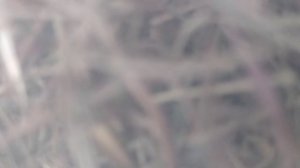 акцые в магнит и пятëрка