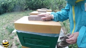 ОДНОРАМОЧНЫЕ отводки в ШЕСТИРАМОЧНЫХ ульях Часть -4, 30