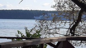 Любуемся на проплывающие по Волге теплоходы.