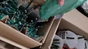 Саженцы роз от IMPERIAL ROSE и Садовита