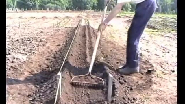 Овощеводство по Миттлайдеру 7 - Планирование грядок смотреть онлайн