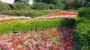 Александровский сад. Москва. Август 2024.