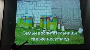 Пчеловодство и матководство в шестирамочных ульях. Ми