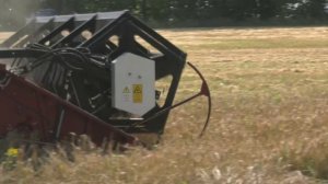 В Воронежской области обсудили предварительные итоги уборочной кампании