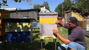 Нужно ли стимулировать и кормить пчёл осенью? Пчелово?