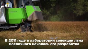 Технология уборки масличного льна