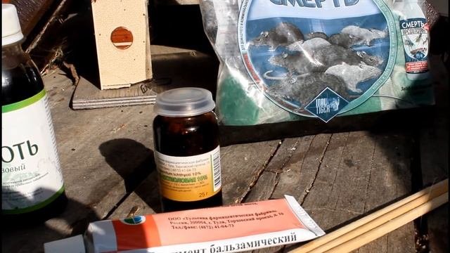 Спасаю розы от мышей и землероек! Препараты: дёготь, пу